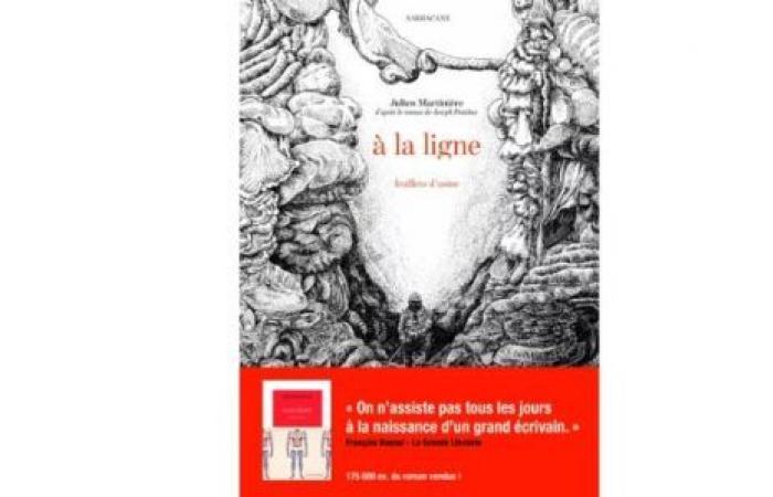 10 livres à offrir ou à s’offrir à Noël