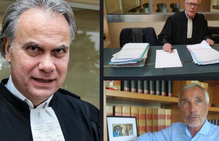 Procès pour viol à Mazan. “Je ne comprends absolument pas l’opinion publique” : les réactions des avocats