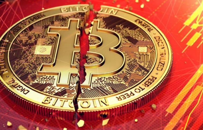 Effondrement du Bitcoin et des cryptomonnaies : que faire maintenant ?