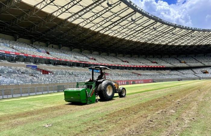 Cruzeiro aura Mineirão avec une “nouvelle pelouse” pour les débuts de Mineiro