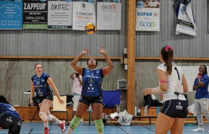 Volleyball – Élite féminine. Le VBP Niort espère terminer l’année bien devant Nantes. Sport