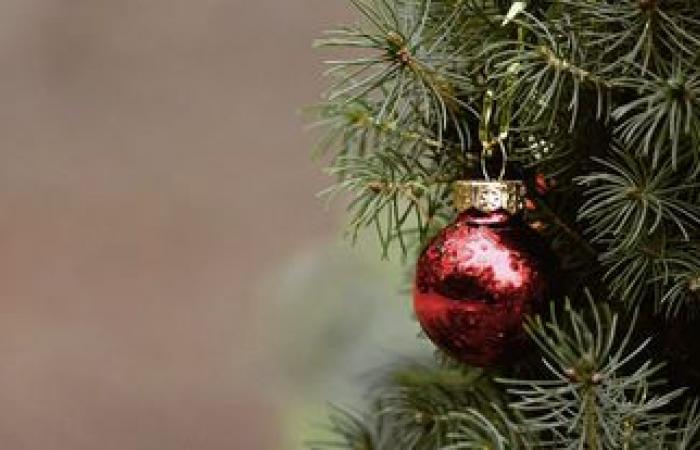 Recyclage des sapins de Noël du jeudi 26 décembre 2024 au mardi 7 janvier 2025