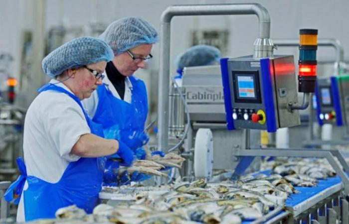 Saupiquet ferme sa toute dernière usine française à Quimper