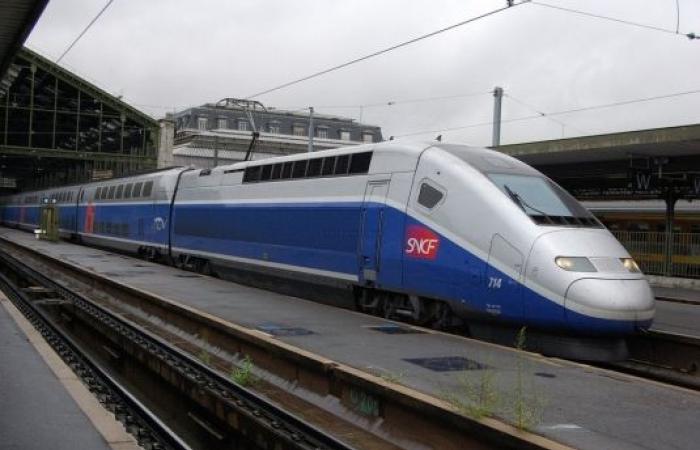 Projet des phases 1 et 2 de la Ligne Nouvelle Provence Côte d’Azur