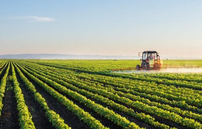 L’agriculture marocaine menacée par le climat