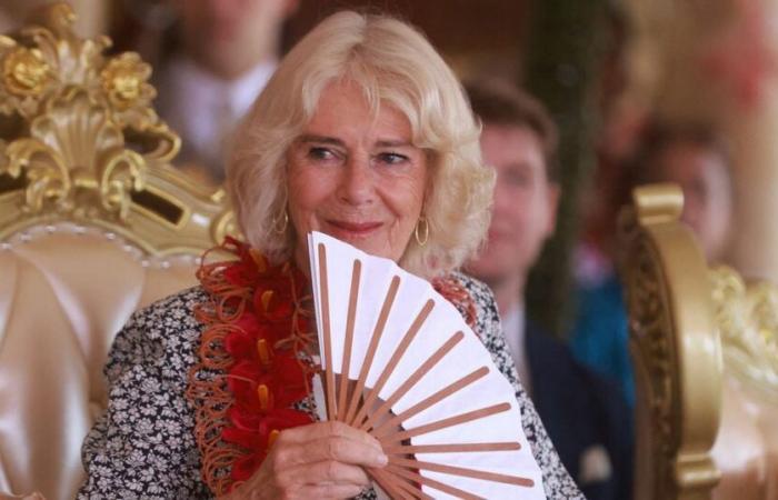 Camilla fait ses courses de Noël incognito dans un magasin de luxe : qu’a-t-elle acheté ?