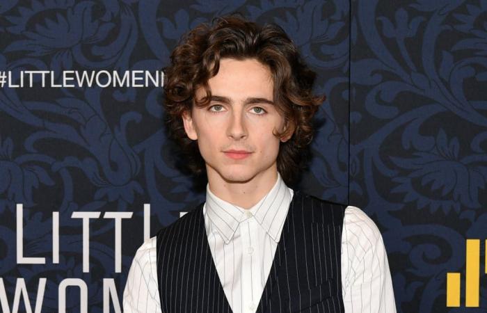 Timothée Chalamet brille dans le rôle de Bob Dylan dans “A Complete Unknown”