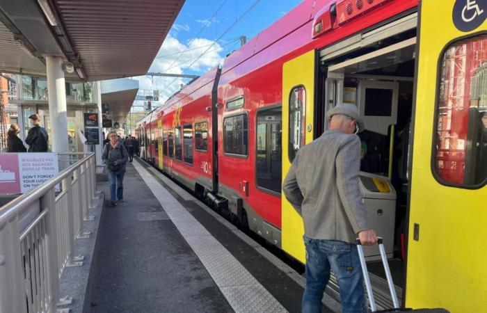 plusieurs lignes de train perturbées pour les départs des vacances de Noël