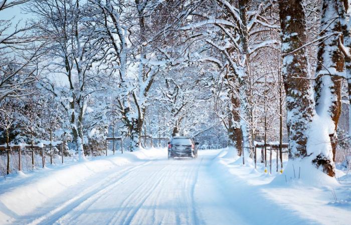 pluie, neige et vents intenses en Roumanie