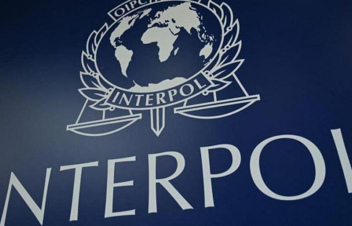 Meurtre, viol sur mineur, trafic de drogue… 58 fugitifs « dangereux » arrêtés lors d’une opération d’Interpol