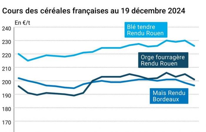 Céréales – Baisse des prix du blé sur Euronext malgré la baisse de l’euro face au dollar