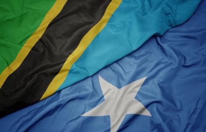 La Somalie et la Tanzanie renforcent leur partenariat