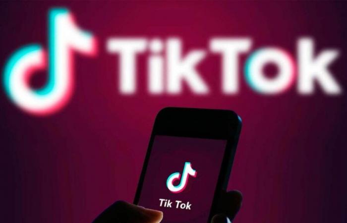 Course contre la montre. L’avenir de TikTok aux États-Unis dépend de la Cour suprême