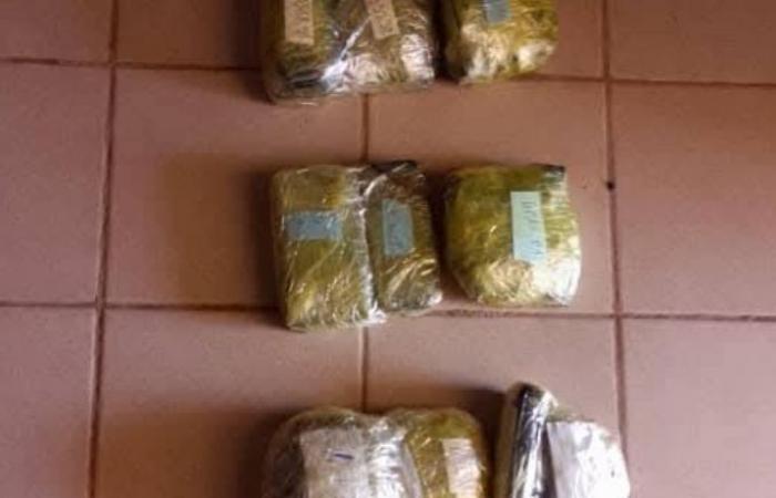 Trois individus arrêtés avec 28,6 kg d’or à la frontière avec le Togo – Sahel Intelligence