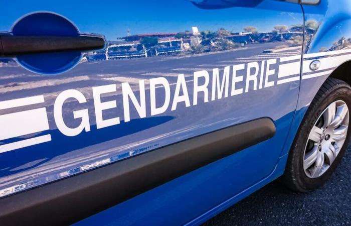 Un garçon de 16 ans soupçonné d’avoir violé une octogénaire accusé en France