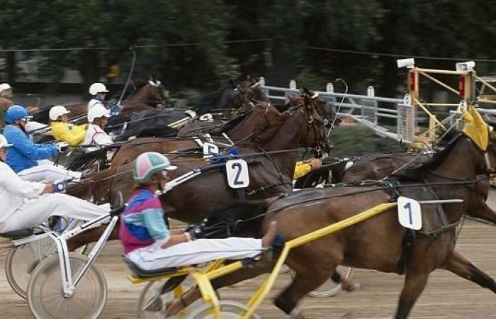 Quinté of December 20 at Paris Vincennes: Hervé Fortin’s predictions