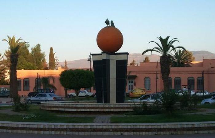 Des projets structurants feront du bien aux producteurs d’agrumes et autres agriculteurs – AgriMaroc.ma