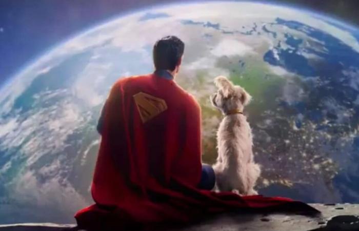 L’incroyable histoire de Krypto, le fidèle compagnon de Superman qui revient au cinéma dans le film de James Gunn