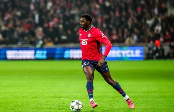 Détenteur de Bayo ? Les compositions probables