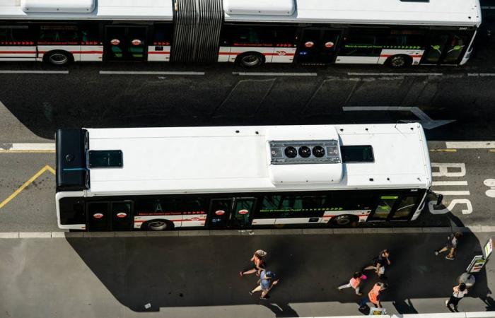 « Tout change, rien ne change », une mini-révolution se prépare dans les transports en commun lyonnais