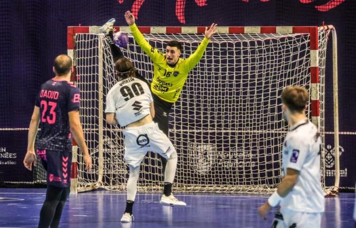 Handball. Un nul au goût de défaite avant les vacances, pour Pau-Billère