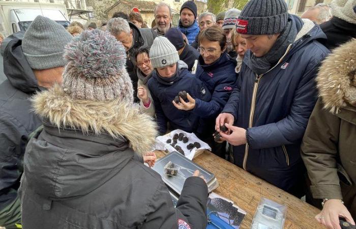 Truffes, cinéma, marché et musique : grand jour de fête à Talairan