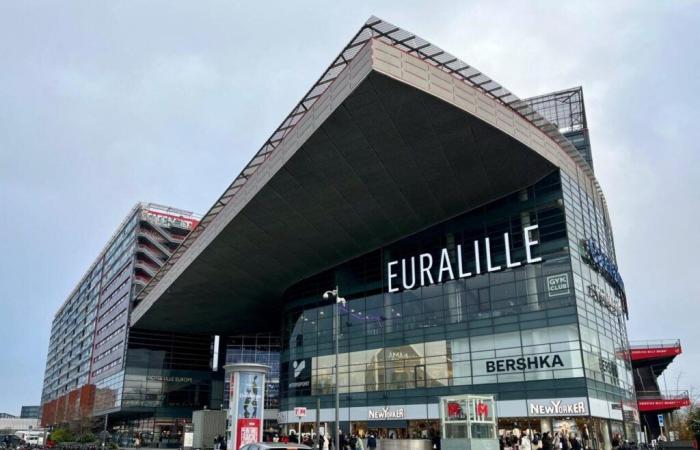 Noël. Quels magasins sont ouverts dans la métropole lilloise ce dimanche 22 décembre ?