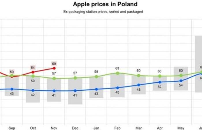 Les prix des pommes dans l’UE ont augmenté de 4,3 % sur un an en novembre 2024, avec des variations régionales