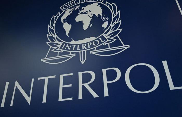 Meurtres, viols de mineurs… 58 fugitifs « dangereux » arrêtés dans 16 pays lors d’une vaste opération d’Interpol