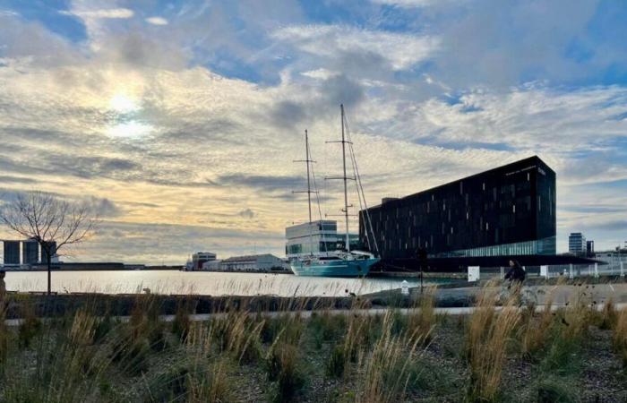 Depuis Le Havre, vous pourrez partir à New York ou en Guadeloupe à bord d’un voilier pas comme les autres