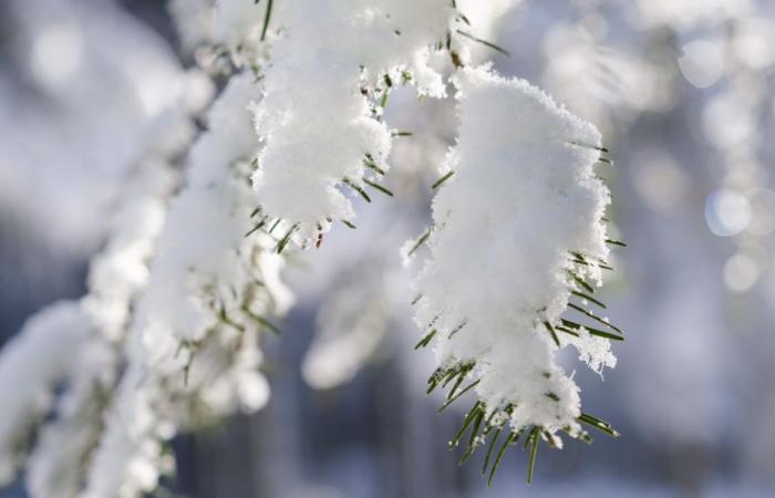 RAPPORT MÉTÉO. Y aura-t-il de la neige à Noël en Auvergne ?