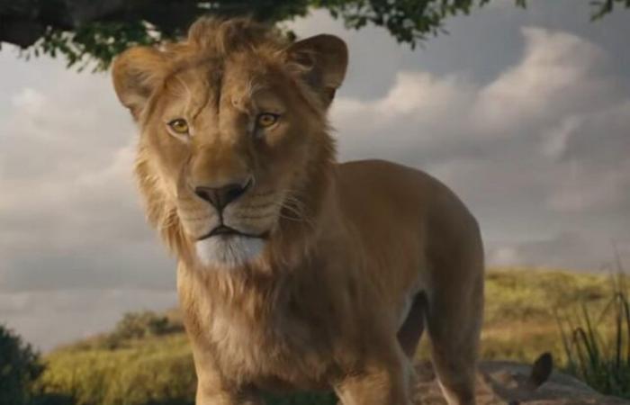 « Mufasa – Le Roi Lion » et toutes les autres nouveautés au cinéma ce week-end