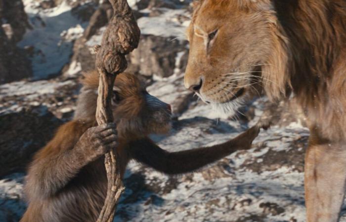 La scène post-générique du Roi Lion ?