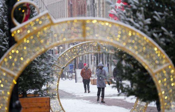 Froid extrême, neige, pluie verglaçante