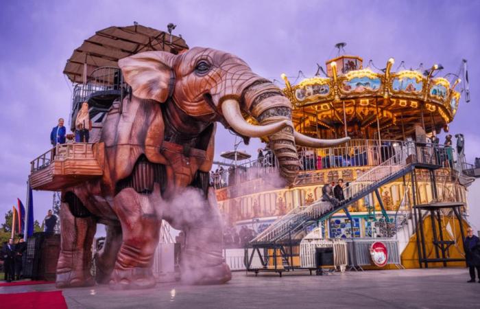 Plongez dans la magie de Noël à Nantes avec ces sorties et activités insolites