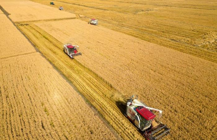 La vie dans les zones rurales chinoises est de plus en plus prospère grâce aux nouveaux progrès agricoles