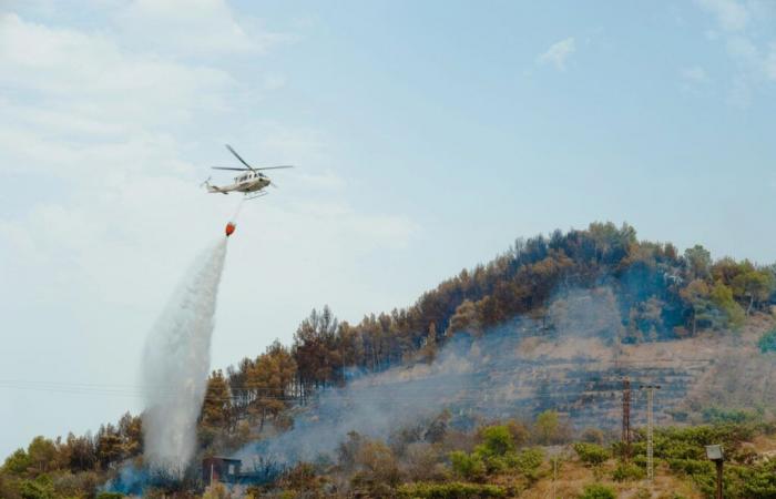 Les entités andalouses collaborent pour prévenir et combattre les incendies de forêt