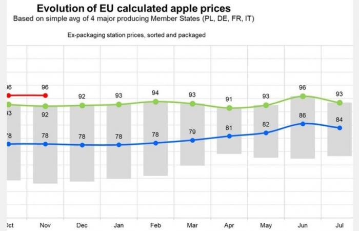 Les prix des pommes dans l’UE ont augmenté de 4,3 % sur un an en novembre 2024, avec des variations régionales