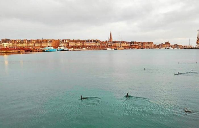 Idées de sorties en famille pendant les vacances de Noël à Saint-Malo