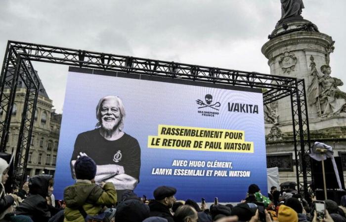 A Paris, Paul Watson promet de « mettre fin à la chasse à la baleine »