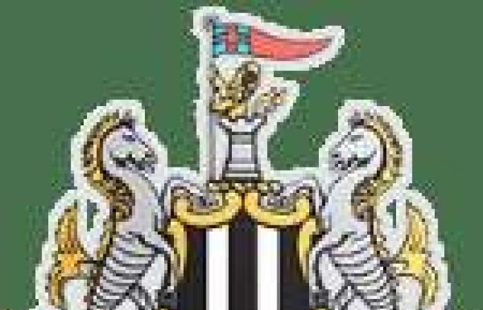 Nottingham élimine Brentford, Newcastle disperse Ipswich – Premier League – J17 – Résumé