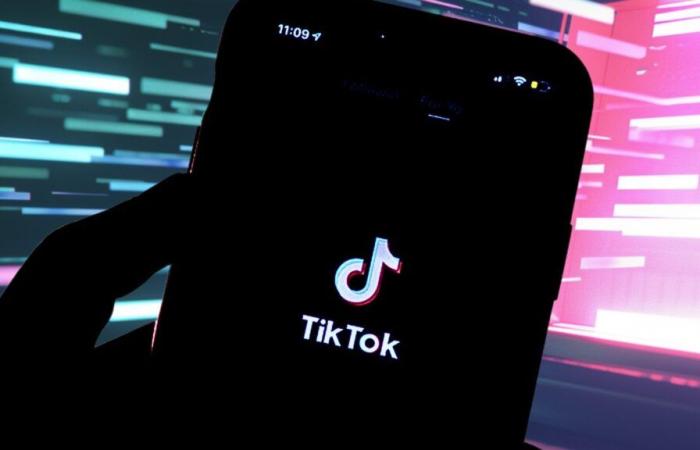 Bientôt interdit, TikTok dévoile les secrets de son algorithme