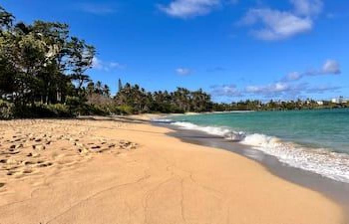 Meilleures choses à faire à Honolulu