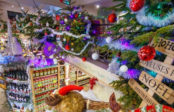 Plongez au cœur des traditions pour célébrer Noël à l’huile à l’Oulibo près de Narbonne