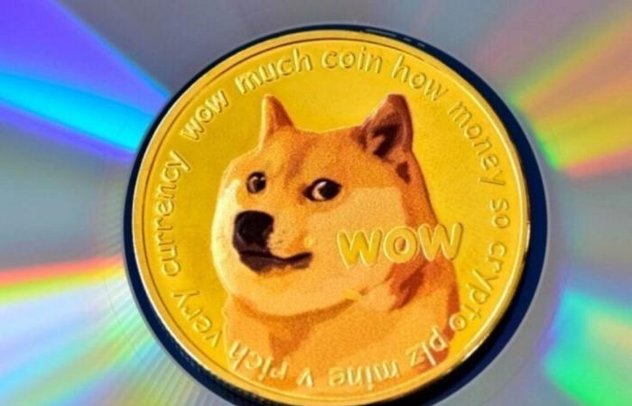 Pourquoi DOGE est-il tombé à 28 cents ?