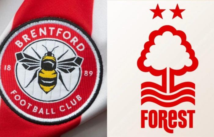 Brentford vs Nottingham Forest : aperçu, pronostics et compositions