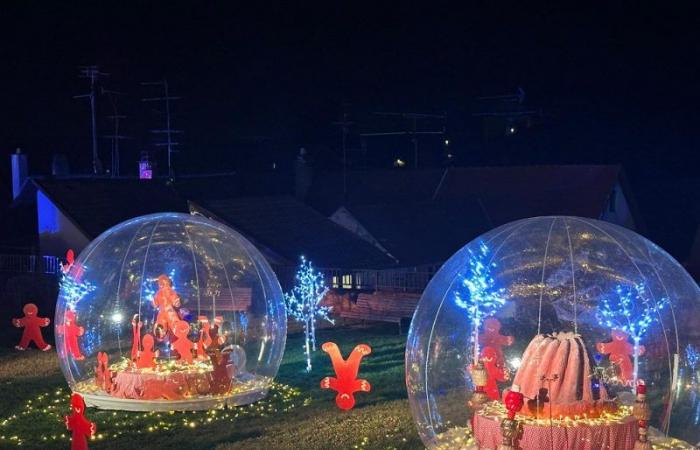 Avec sa « Forêt Enchantée », le Sundgau prolonge la magie de Noël jusqu’au 5 janvier !