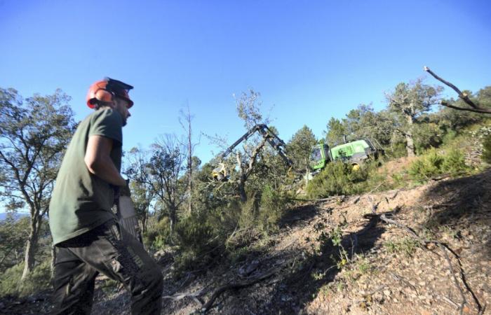 En hiver aussi, la lutte contre les incendies est menée dans les forêts de l’Est-Var