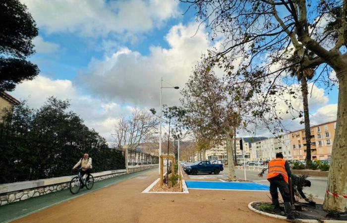 Un espace partagé rénové pour piétons et cyclistes sur l’avenue de l’Infanterie de Marine à Toulon