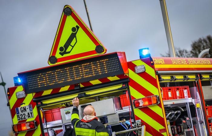 un camion transportant 150 porcs se renverse sur le côté et provoque un véritable désastre, plusieurs kilomètres d’embouteillages